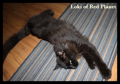 Loki